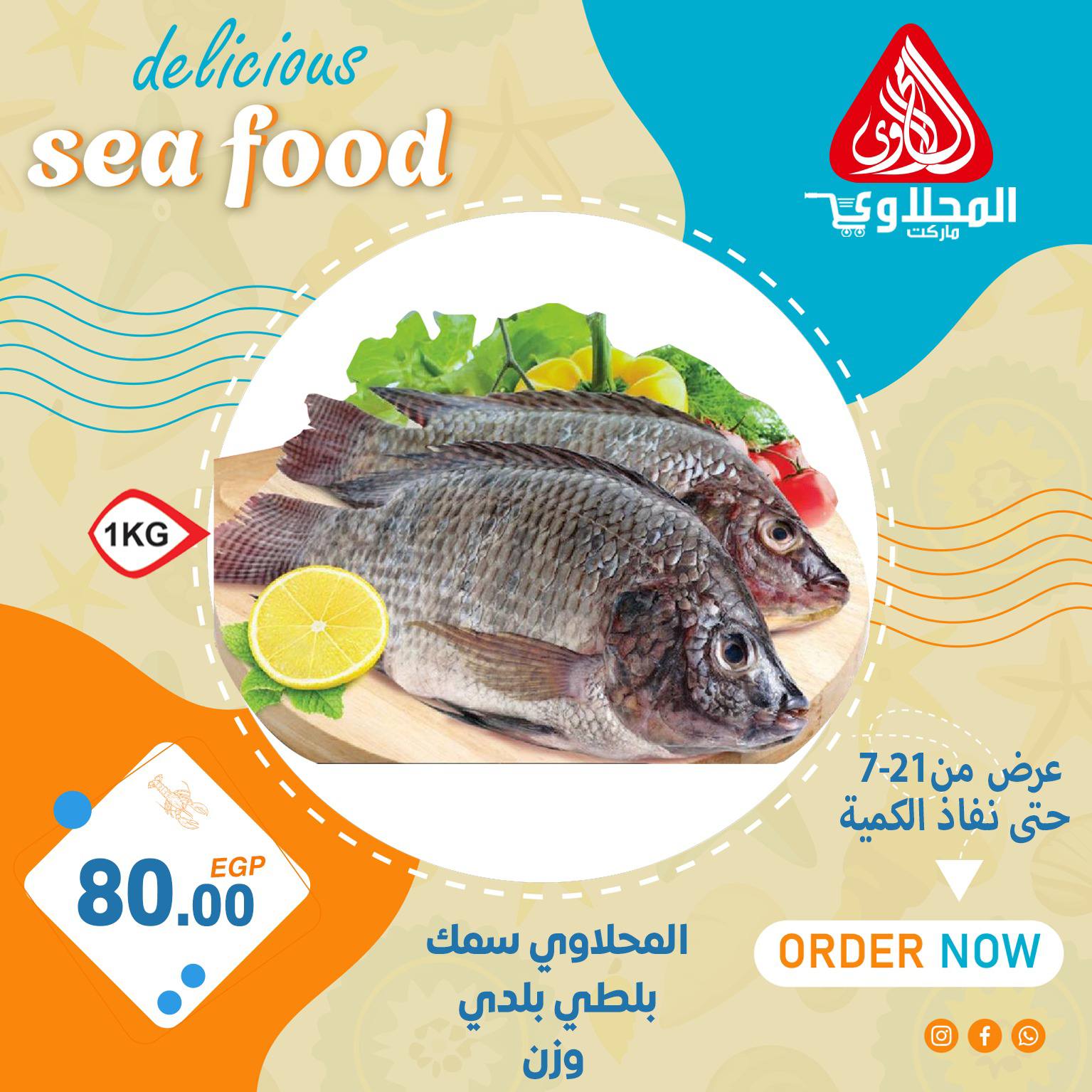 el-mahallawy offers from 21jul to 1jun 2025 عروض المحلاوي من 21 يوليو حتى 1 يونيو 2025 صفحة رقم 13